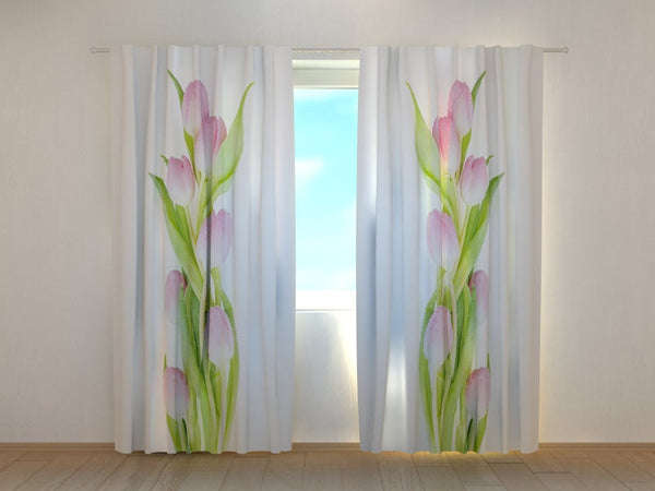 Foto Tende Meravigliosa Tulipani Rosa