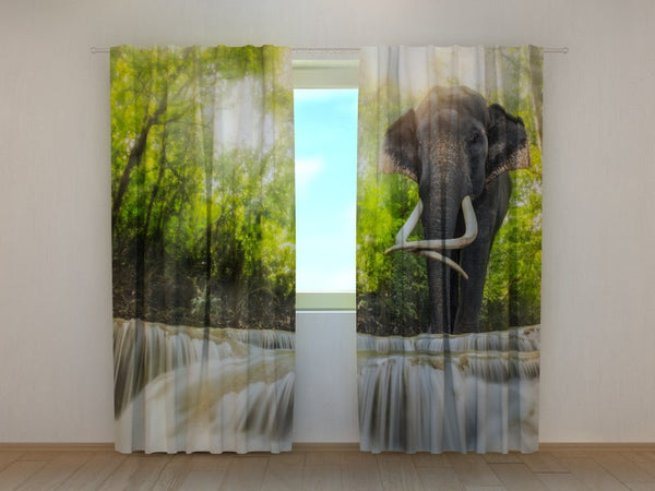 Foto Tende con Stampa Grande Elefante