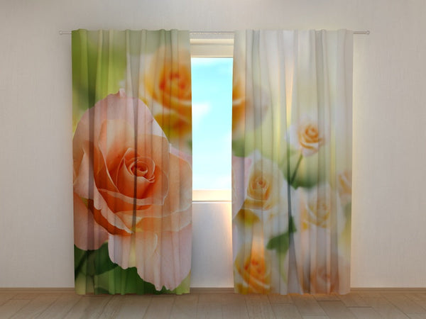 Foto Tende Le Rose della Sposa