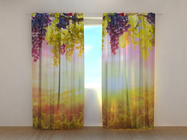 Foto Tende con Stampa Grappoli d'Uva al Sole Estivo