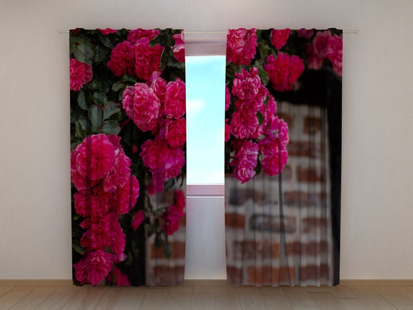 Foto Tende con Stampa Cespuglio di Rose Rosa sul Muro di Mattoni