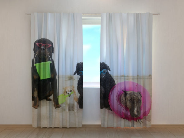 Foto Tende con Stampa Cani in Appoggio su una Spiaggia
