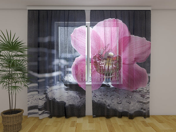 Foto Tende Tenerezza dell'Orchidea
