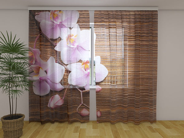 Foto Tende Orchidea e Albero