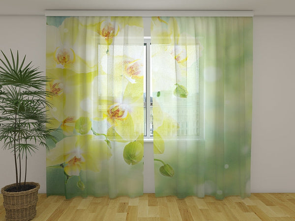 Foto Tende con Stampa Bellissime Orchidee di Limone