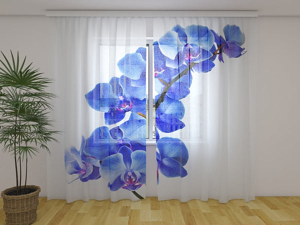 Foto Tende Orchidea Blu