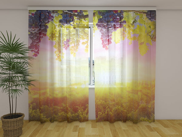 Foto Tende con Stampa Grappoli d'Uva al Sole Estivo