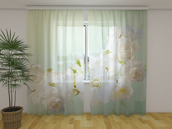 Foto Tende Rose Menta