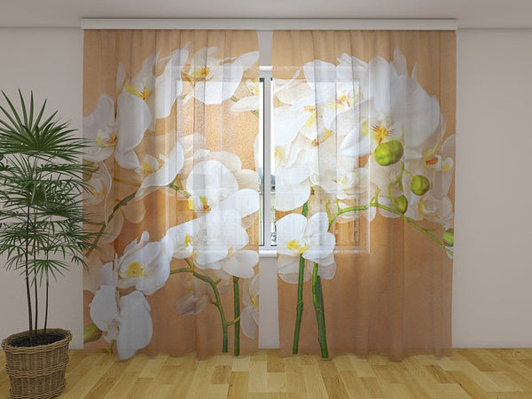 Foto Tende Orchidee Asiatiche