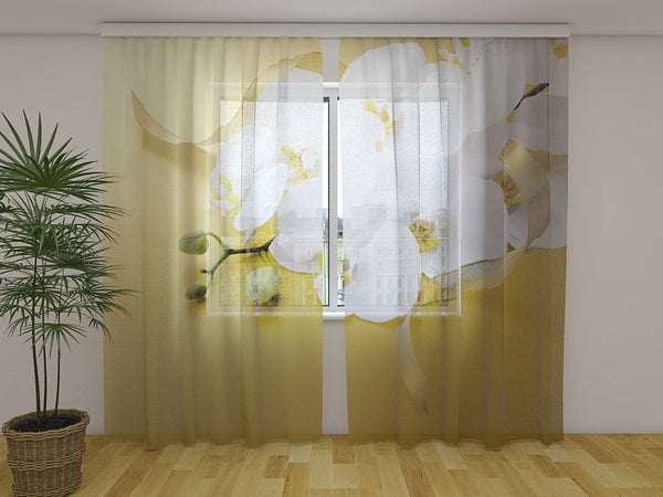 Foto Tende Orchidee su Oro