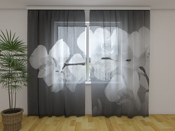 Foto Tende Orchidee Musicali in Bianco e Nero