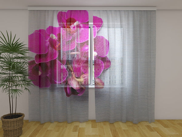 Foto Tende Orchidea Color Lampone su Legno Grigio