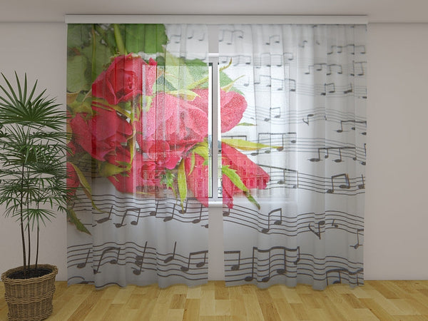 Foto Tende Rose e Note
