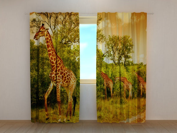 Foto Tende con Stampa Giraffe
