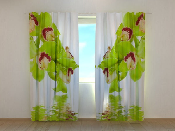 Foto Tende Orchidea Color Lime