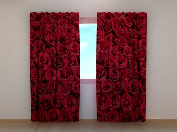 Foto Tende Rose Rosse Preferite
