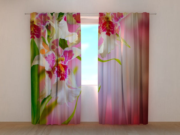 Foto Tende Orchidee Maculate
