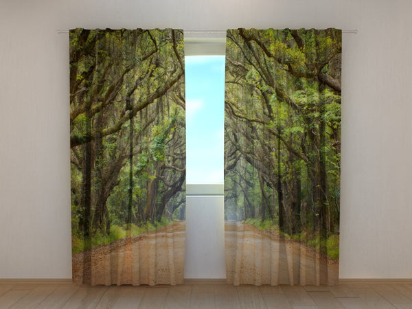 Foto Tende con Stampa Alberi di Quercia in Australian Botany Bay