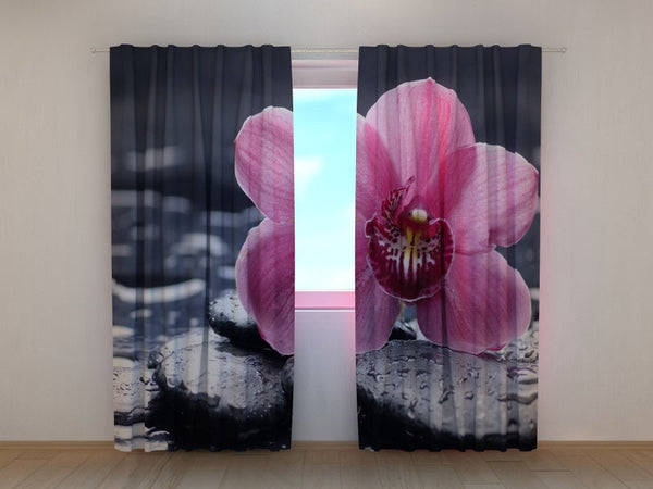 Foto Tende Tenerezza dell'Orchidea