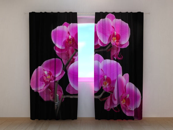 Foto Tende Ramoscello di Orchidea