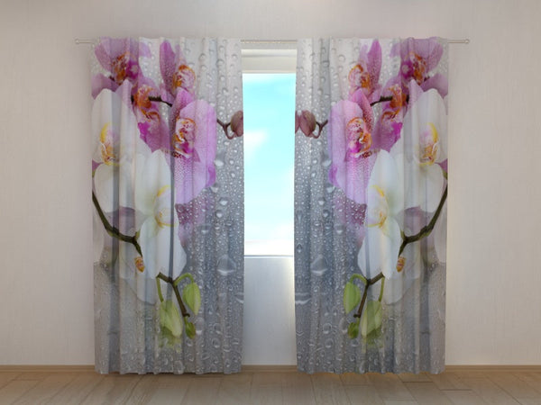 Foto Tende Orchidee e Pioggia