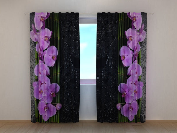Foto Tende Orchidee su Fondo Nero