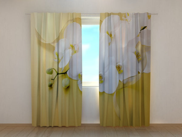 Foto Tende Orchidee su Oro