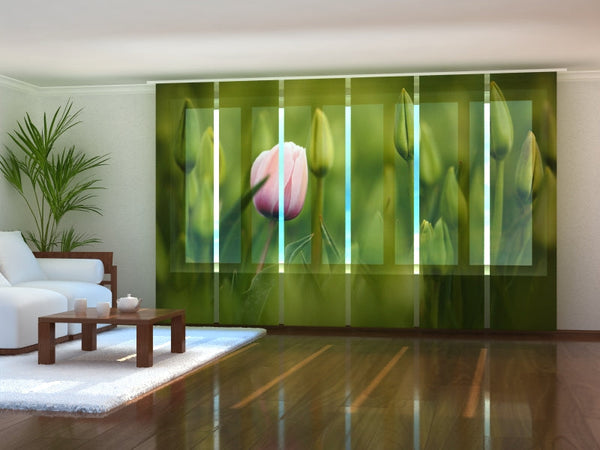 Set di 6 Tende a Pannello Primo Tulipano Rosa