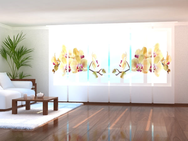 Set di 6 Tende a Pannello Orchidea Dorata su Bianco