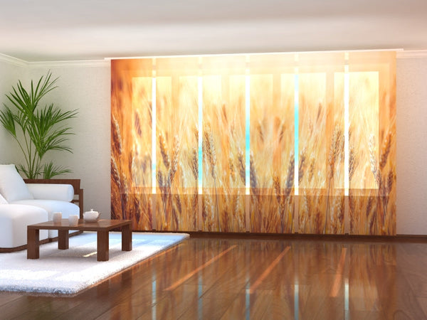 Set di 6 Tende a Pannello Campo di Grano Dorato