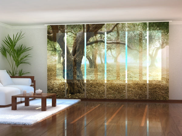 Set di 6 Tende a Pannello Olivi  Secolari