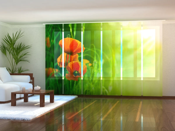 Set di 6 Tende a Pannello Papaveri Rossi in Campo Verde