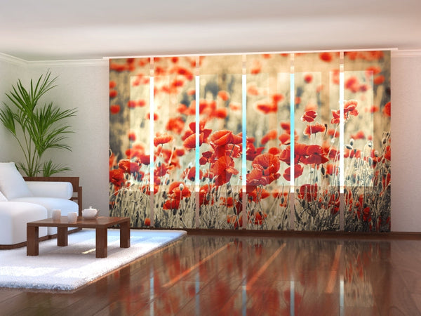 Set di 6 Tende a Pannello Campo di Papaveri Retrò