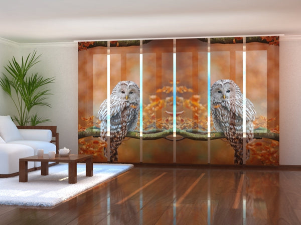 Set di 6 Tende a Pannello Allocco Degli Urali in Autunno Foresta di Querce