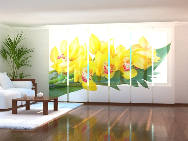 Set di 6 Tende a Pannello Orchidee Gialle