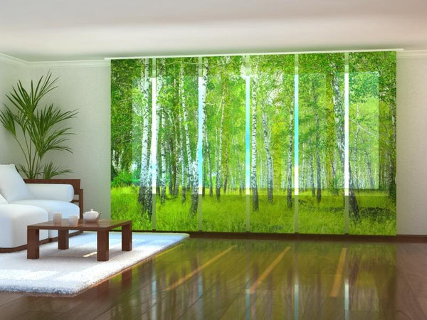 Set di 6 Tende a Pannello Foresta di Betulle