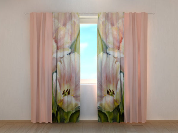 Foto Tende Tulipani Rosa