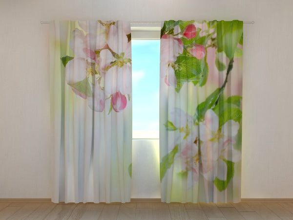 Foto Tende Melo Cotogno in Fiore