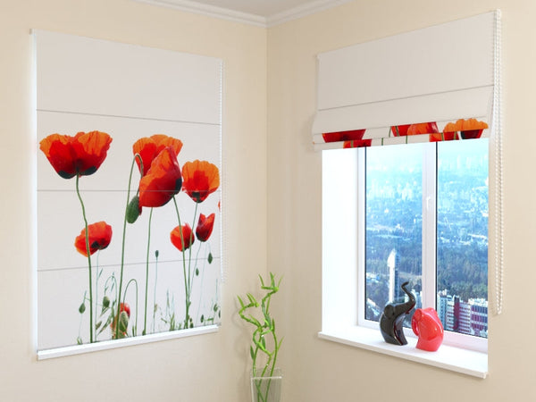 Tende a Pacchetto Papaveri Olandesi