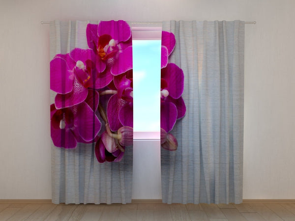 Foto Tende Orchidea Color Lampone su Legno Grigio