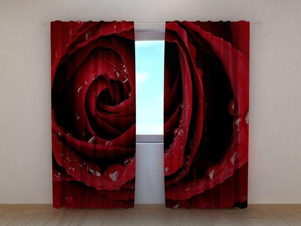 Foto Tende Rosa Rossa