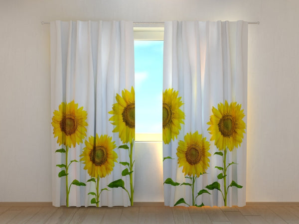 Foto Tende con Stampa Girasoli Gialli Estivi