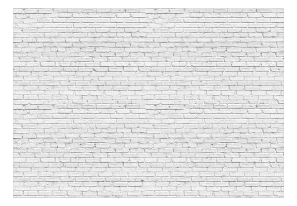 Fotomurale - Gray Brick