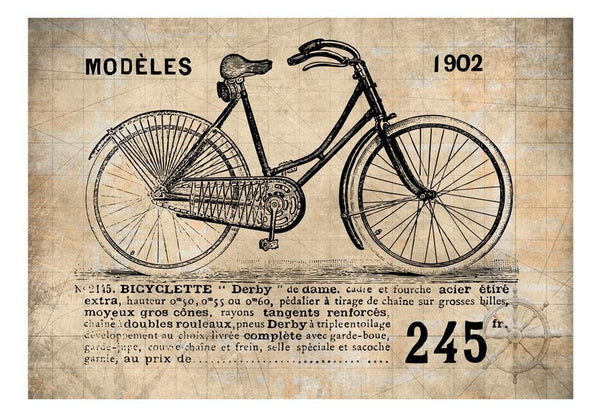Carta da parati vintage - Bicicletta Vintage