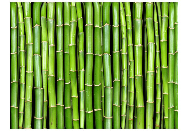 Carta da parati - Parete di bambù