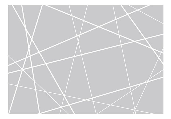 Carta da parati geometrica - Modern Cobweb