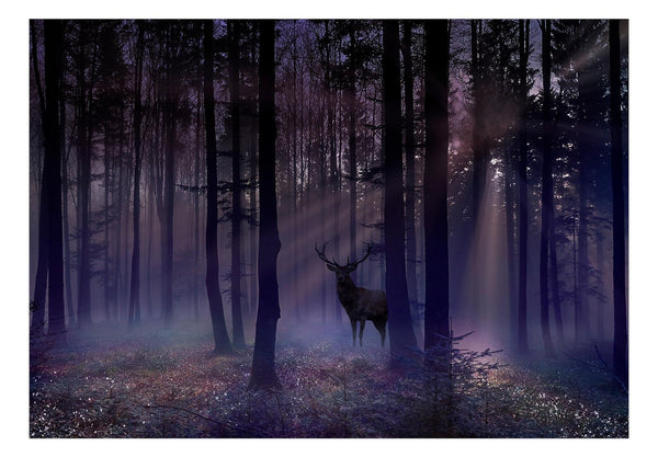 Fotomurale - Mystical Forest - Second Variant