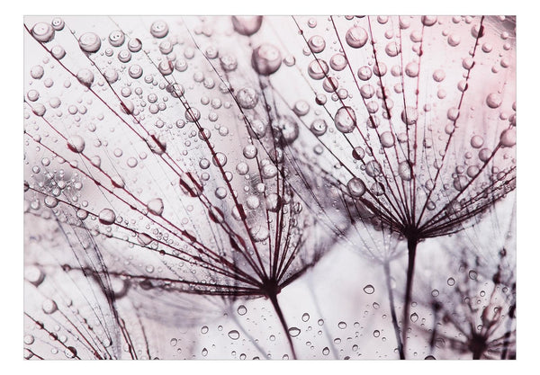 Fotomurale - Rainy Time