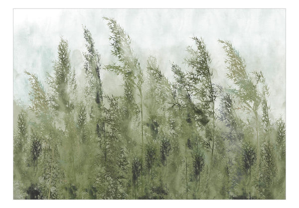 Fotomurale - Tall Grasses - Green