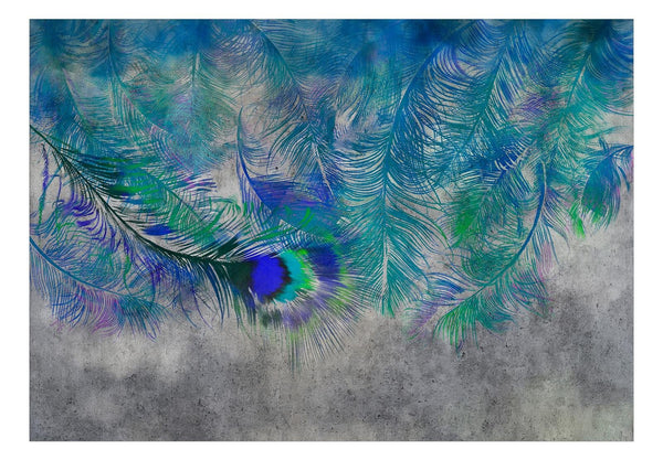 Fotomurale - Peacock Feathers